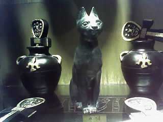 Rick Brant egyptian cat